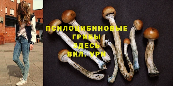 а пвп мука Алзамай